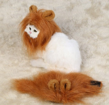 Funny Pet Hat