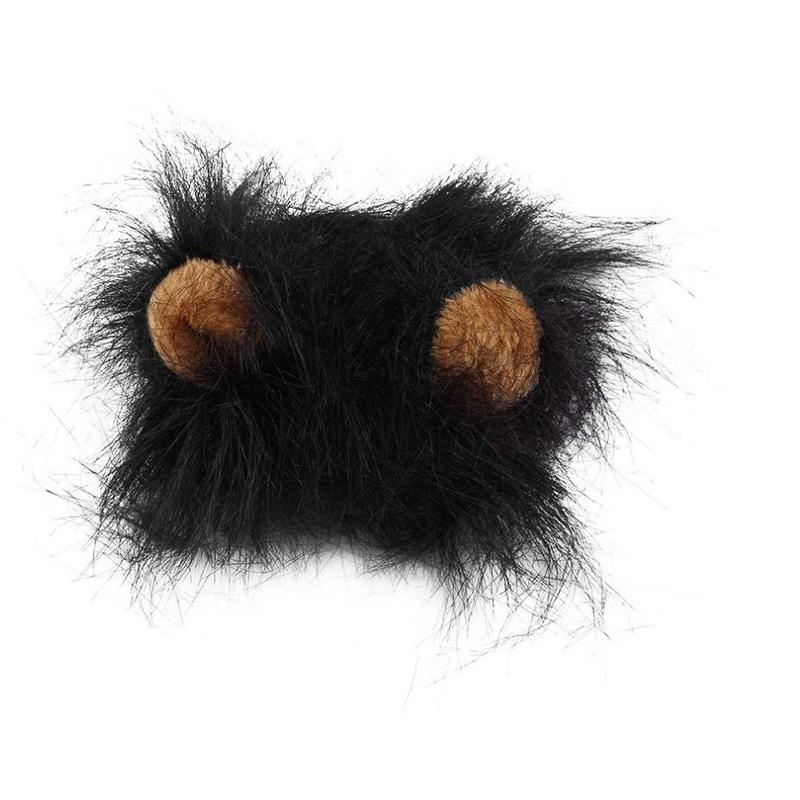 Funny Pet Hat
