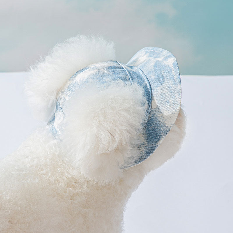 Pet Hats With Ear Holes