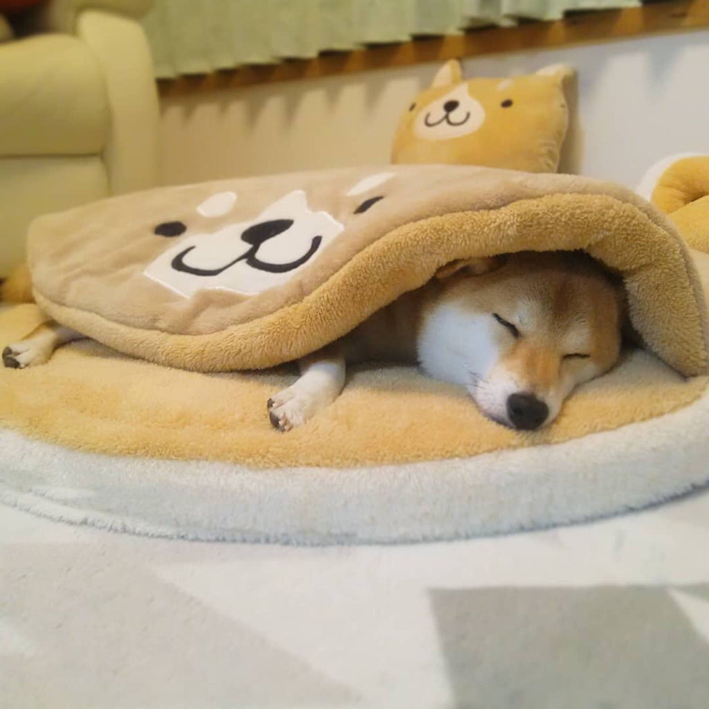 Doghouse Corgi Teddy Plush