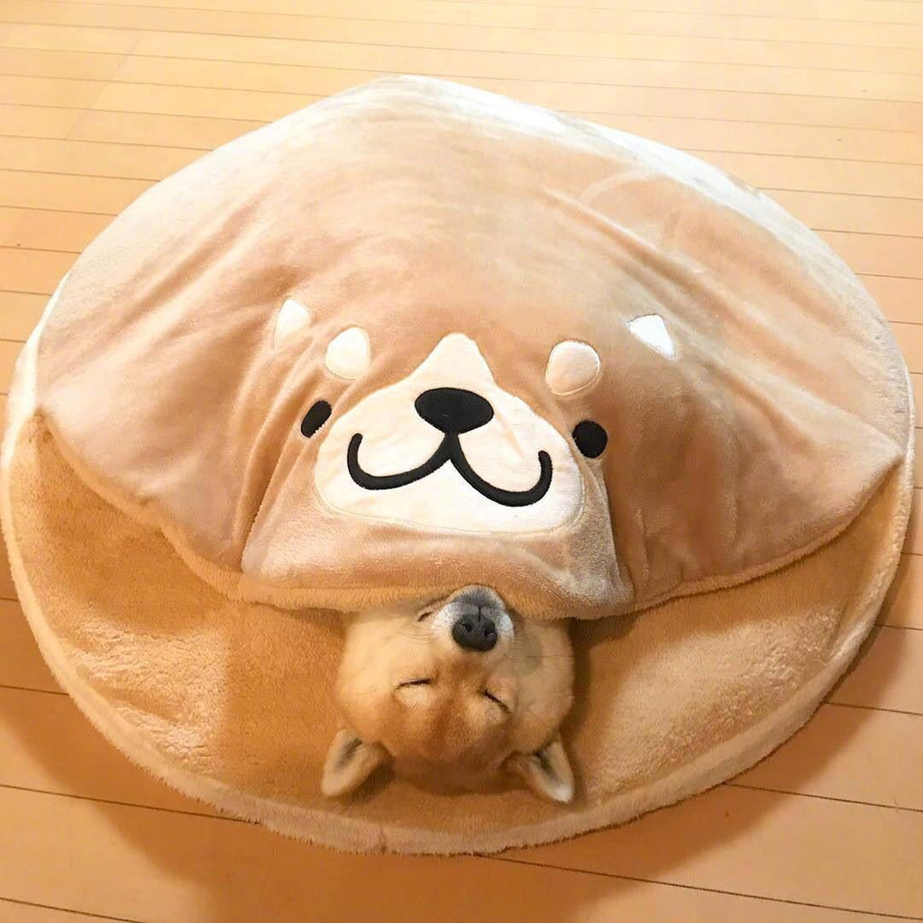 Doghouse Corgi Teddy Plush