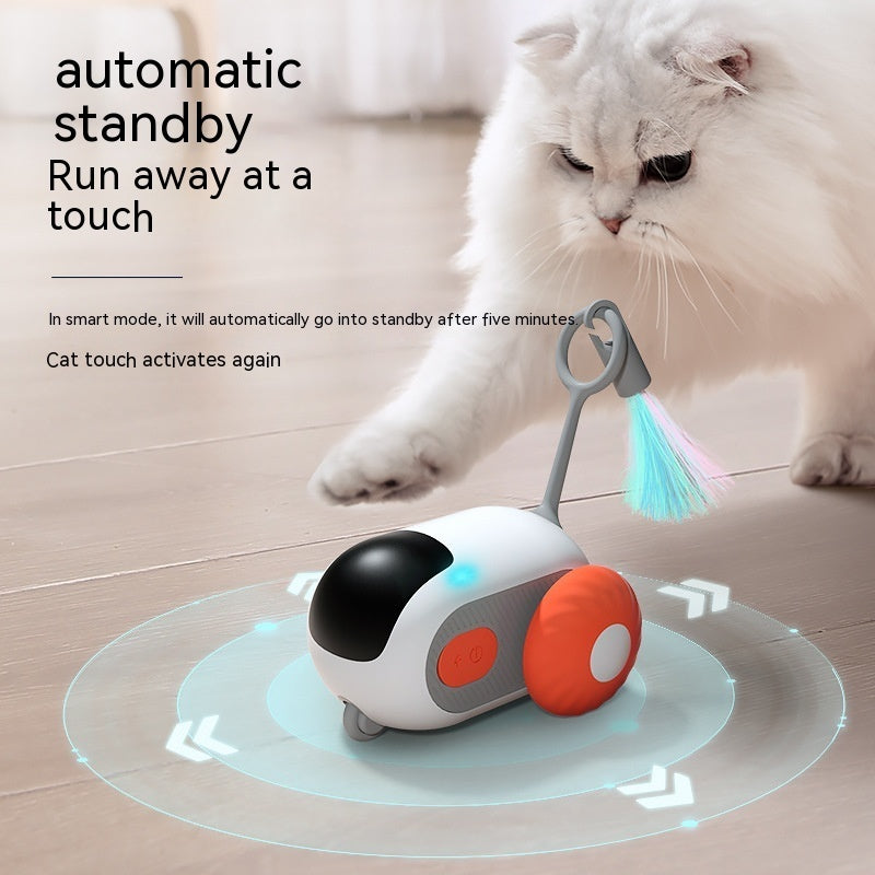 Cat Toy Car