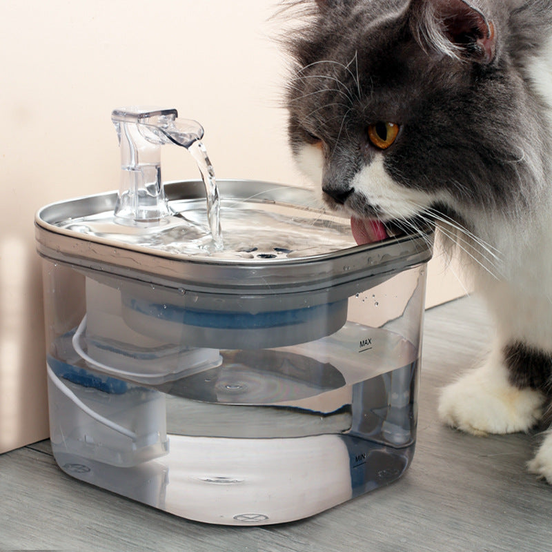 Pet Cat Dog Stainless