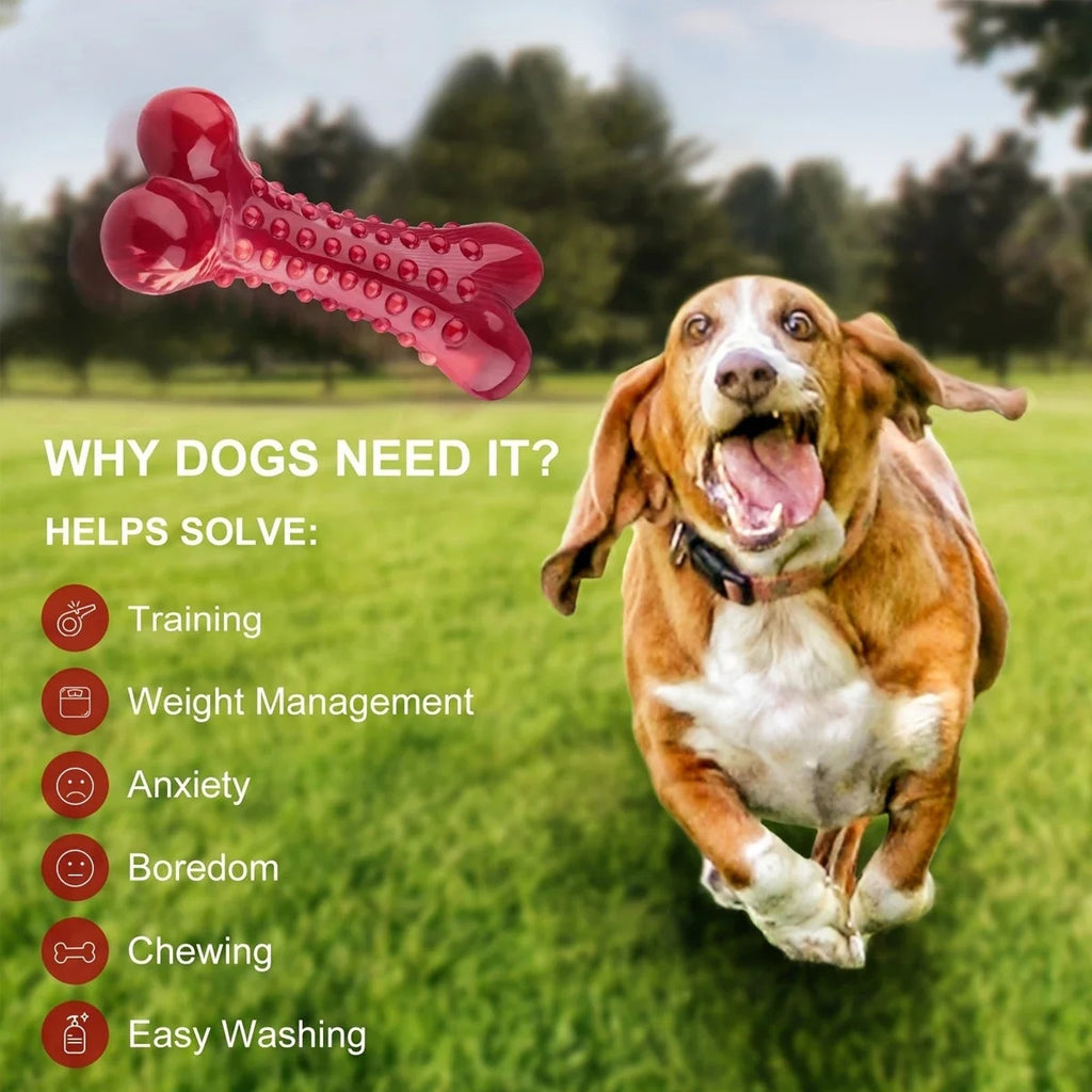 Natural Rubber Chew Toy
