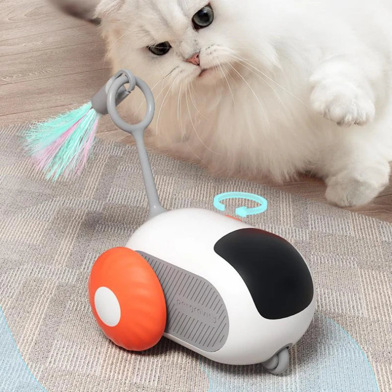 Cat Toy Car