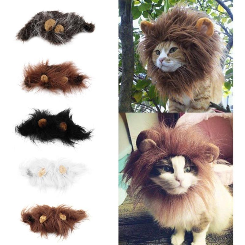 Funny Pet Hat