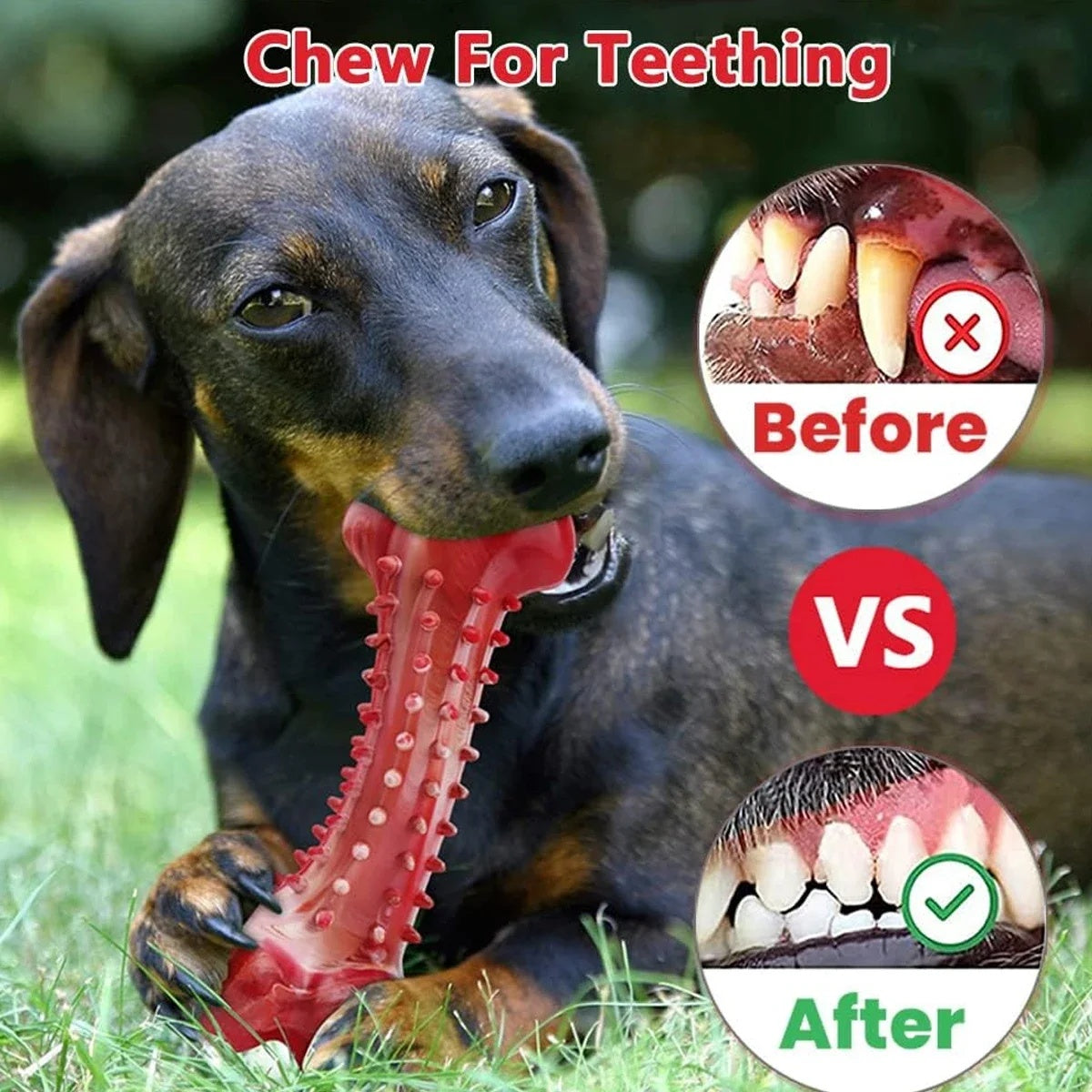 Natural Rubber Chew Toy
