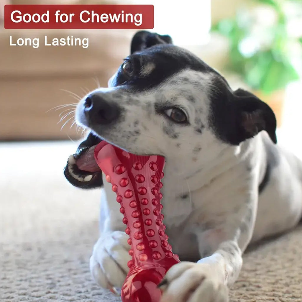 Natural Rubber Chew Toy