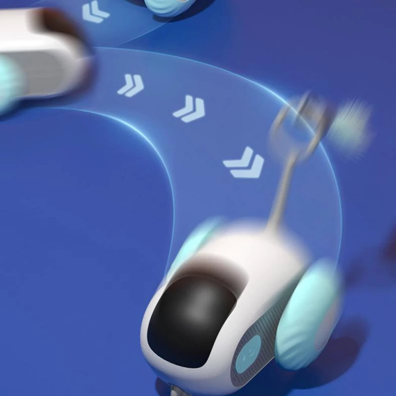 Cat Toy Car