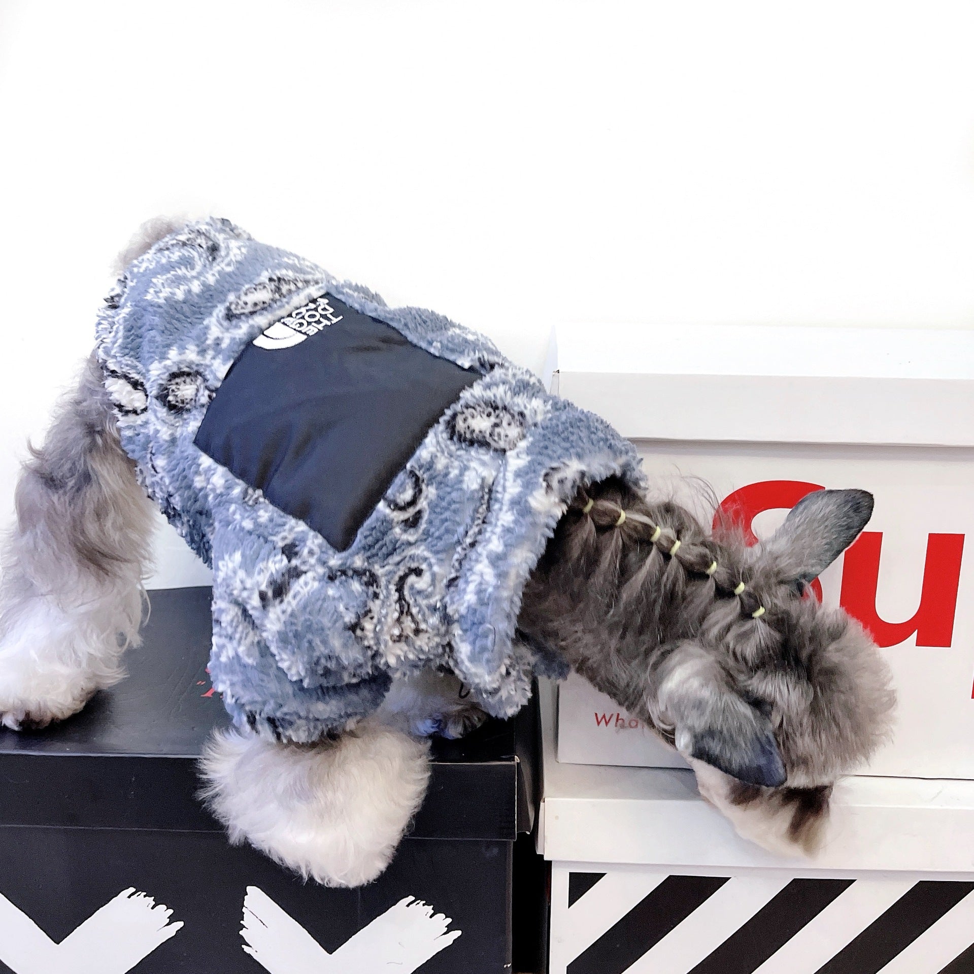 Warm Velvet Clothes For Cats And Small Dogs