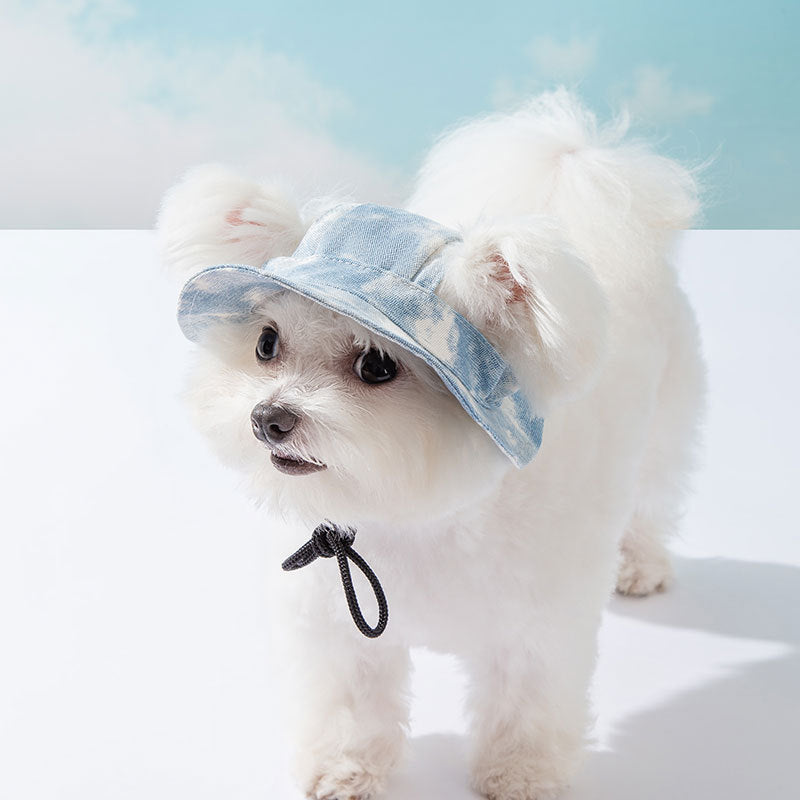 Pet Hats With Ear Holes