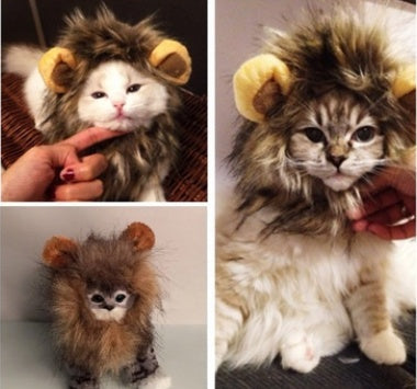 Funny Pet Hat