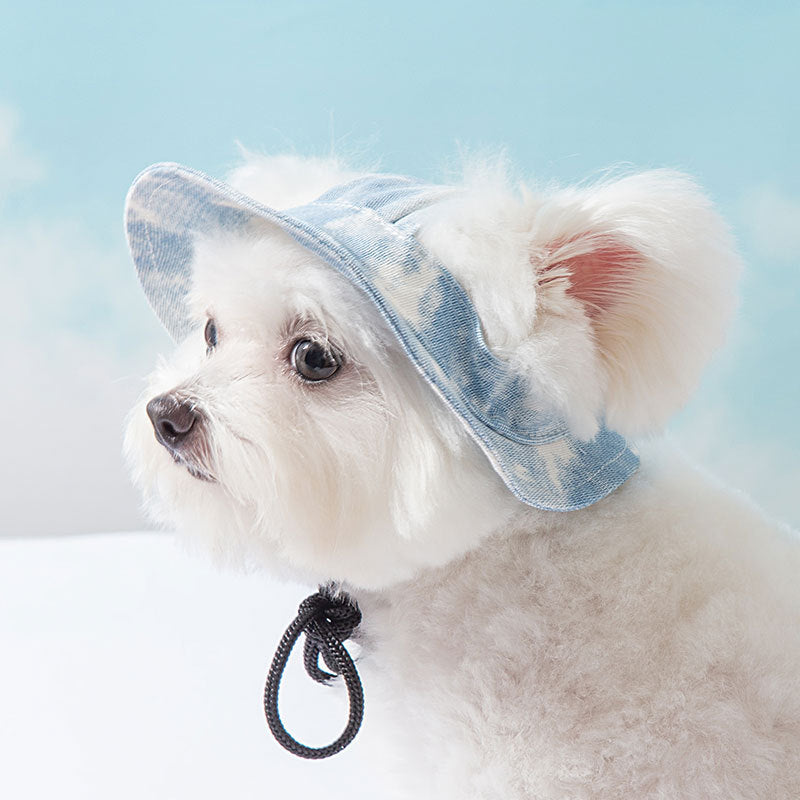 Pet Hats With Ear Holes