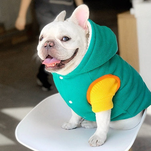 Pet Winter Cotton Dress Dogs