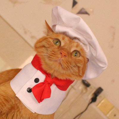 Dog Kitchen God Pet Cloak Hat Dogs And Cat