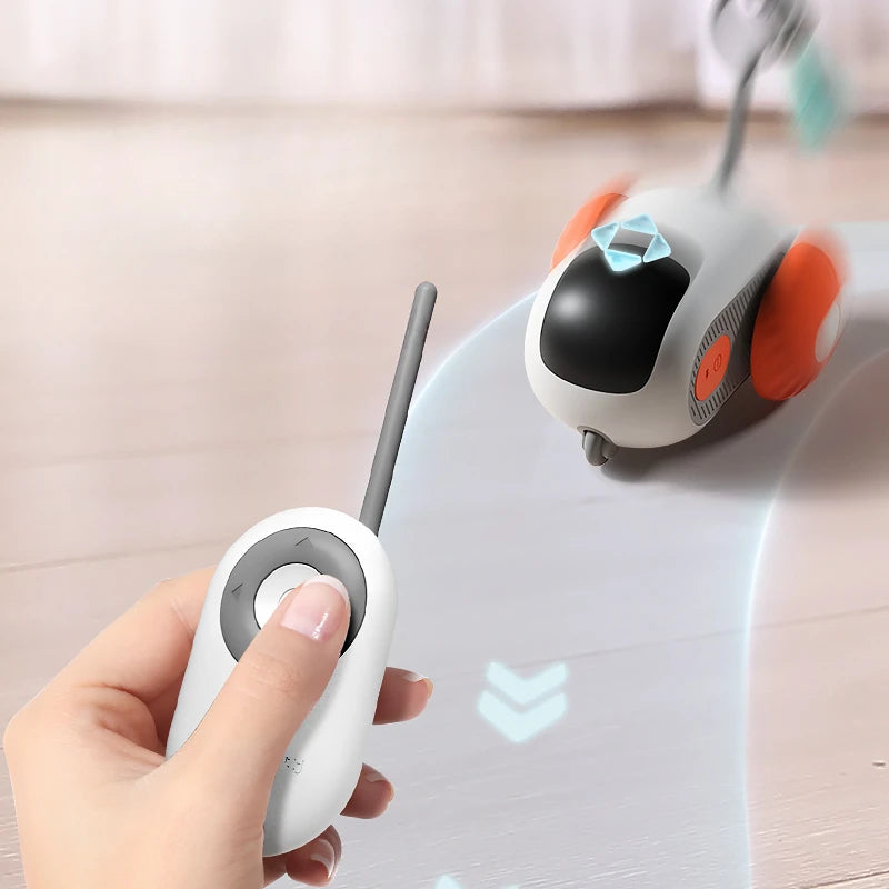 Cat Toy Car