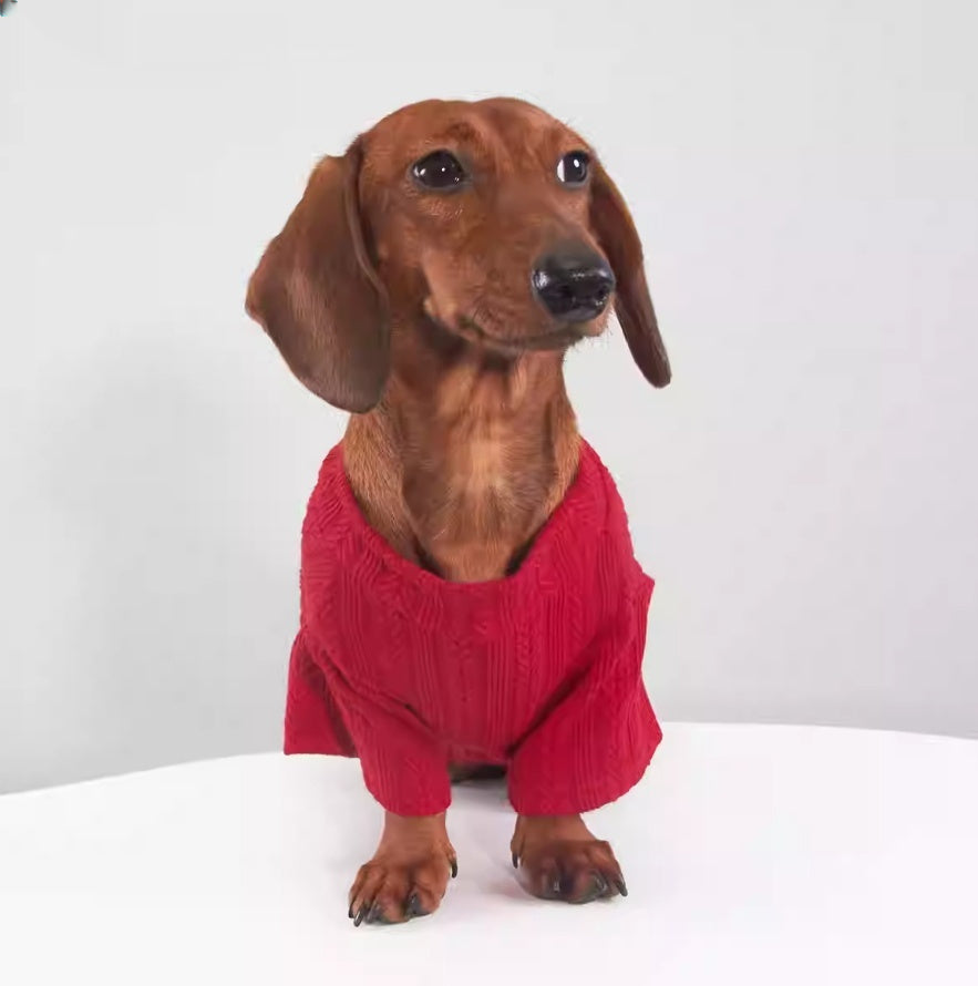 Stretch Base Layer For Dogs And Cats