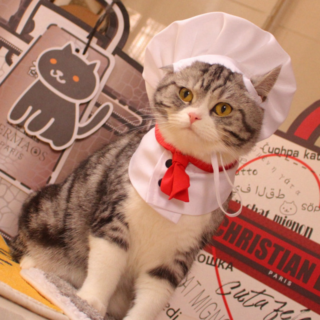 Dog Kitchen God Pet Cloak Hat Dogs And Cat