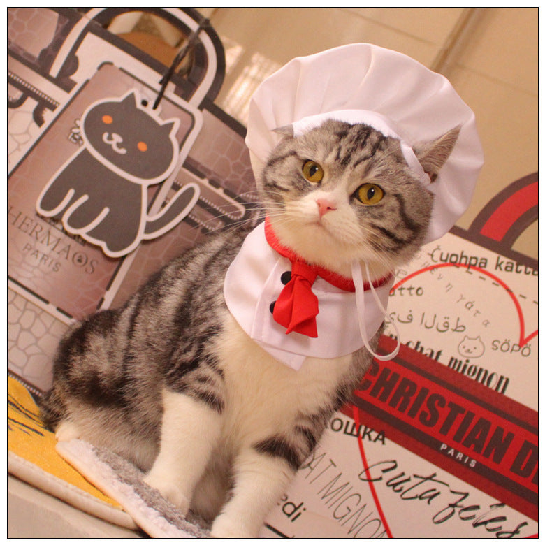 Dog Kitchen God Pet Cloak Hat Dogs And Cat