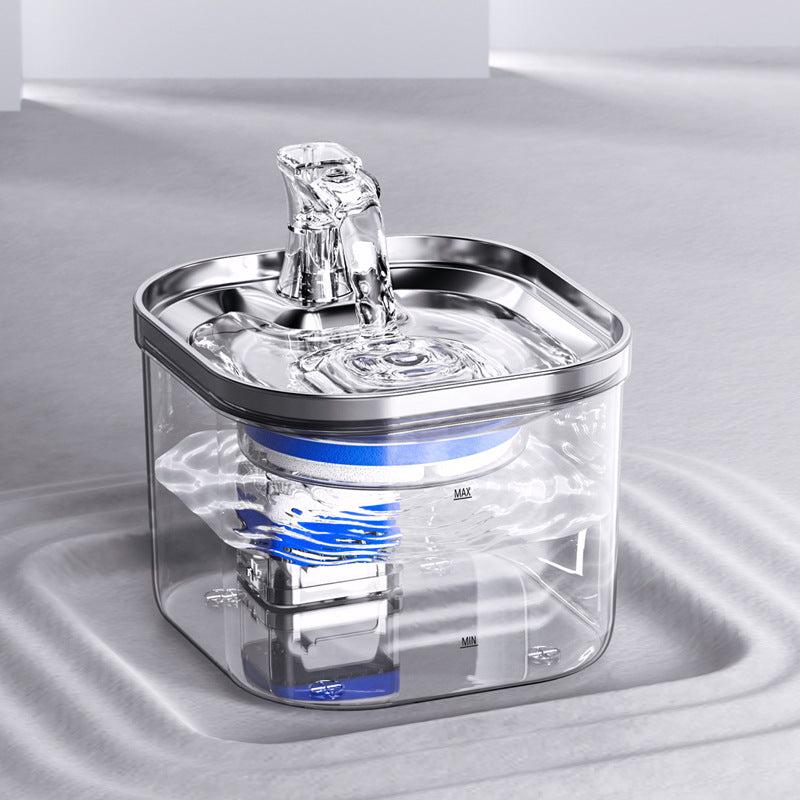 Pet Cat Dog Stainless