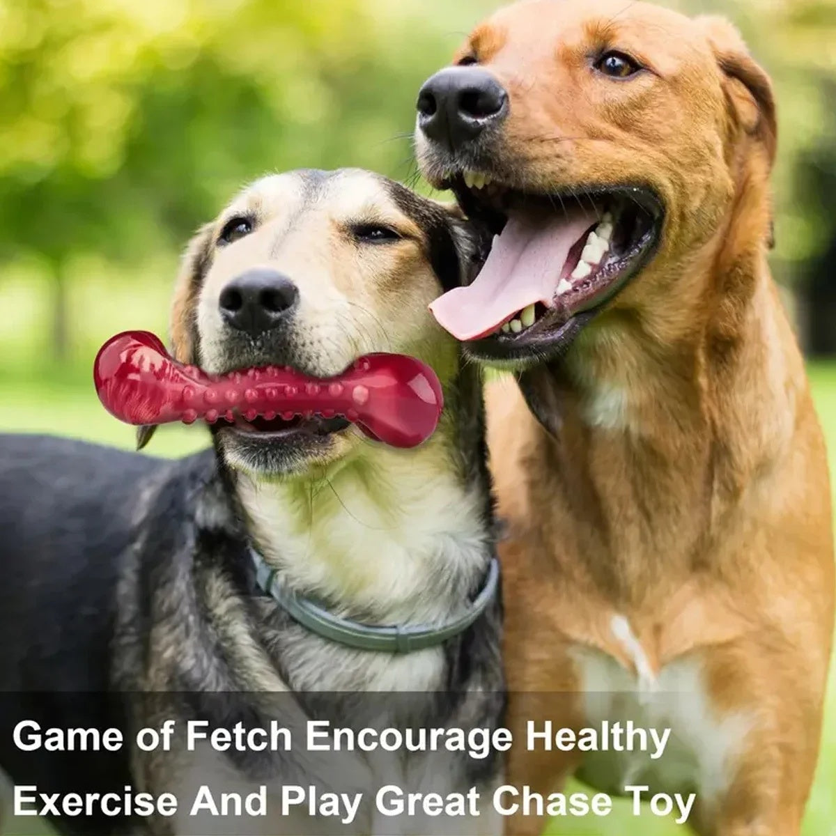 Natural Rubber Chew Toy