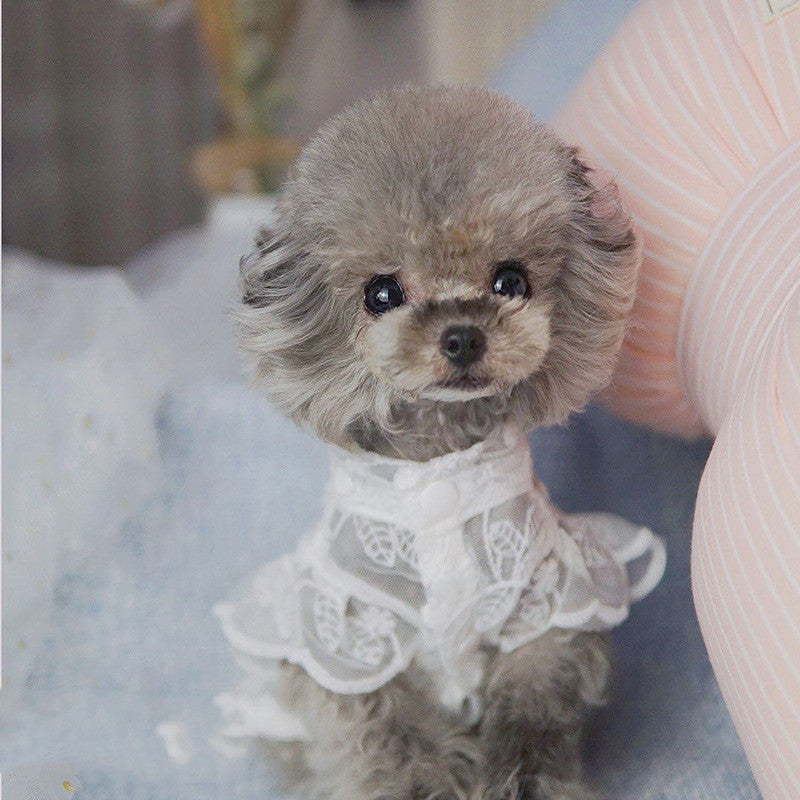 Pet Dogs And Cats Lace Breathable Sunscreen Skirt