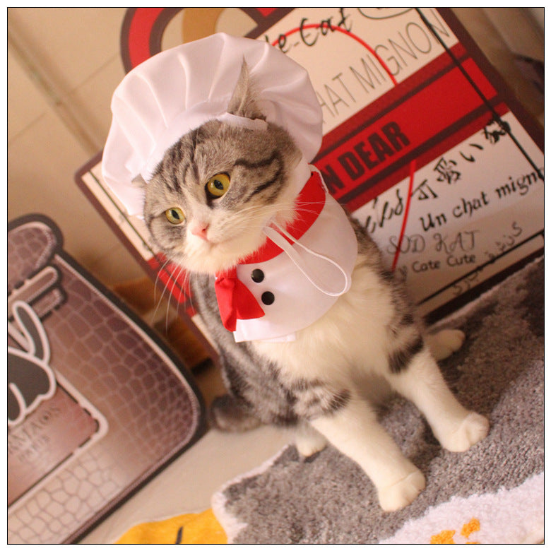 Dog Kitchen God Pet Cloak Hat Dogs And Cat