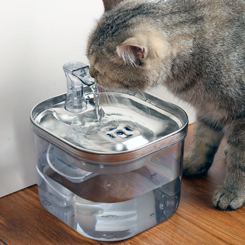 Pet Cat Dog Stainless